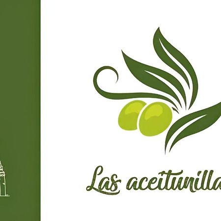 Apartamento Turistico Las Aceitunillas 우베다 외부 사진
